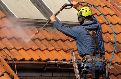 Démoussage et hydrofuge de toiture à Vignieu